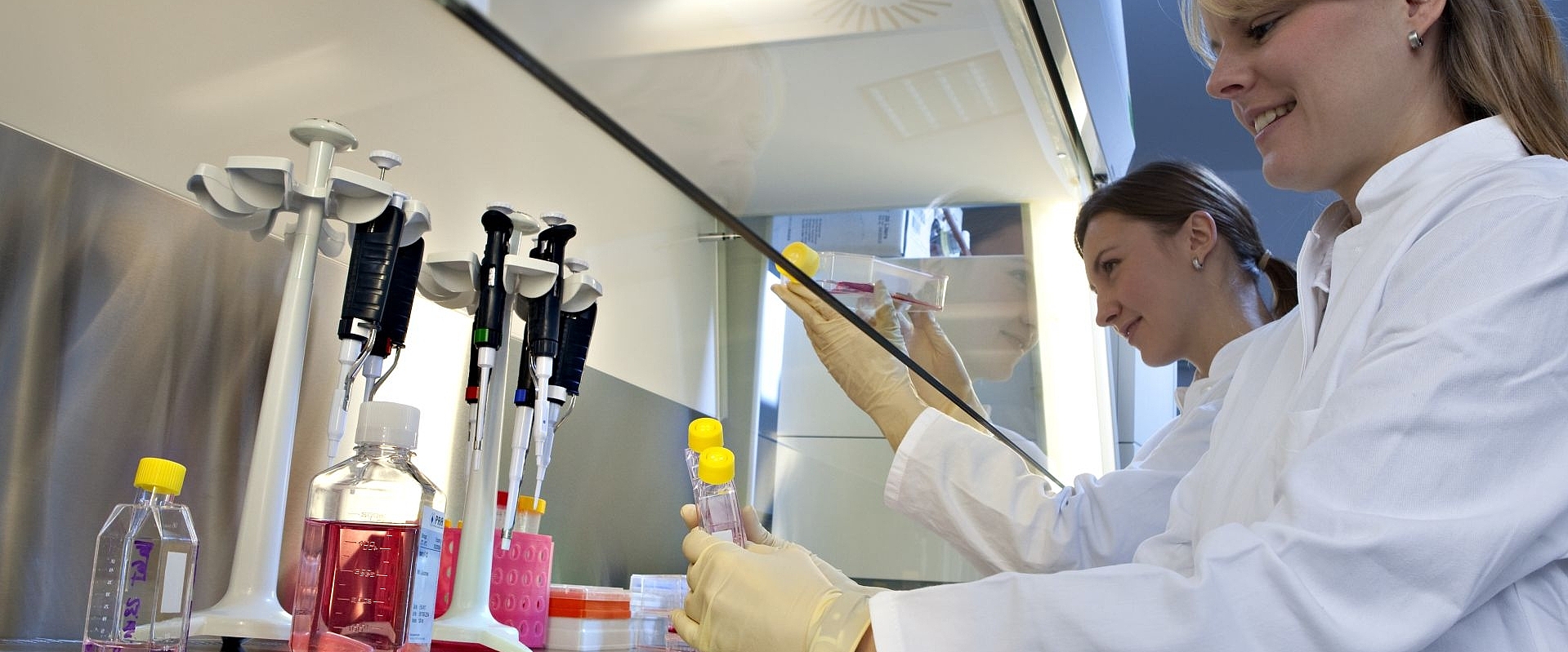 Biomedical Sciences studieren | Hochschule Albstadt-Sigmaringen
